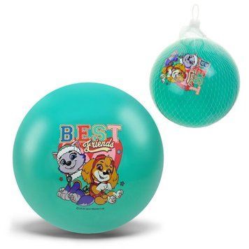 М'яч гумовий арт. PP2520 (400шт) Paw Patrol 6'' 50 гр блакитний НФ-00016023 фото